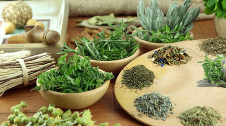 мочегонные растения и травы