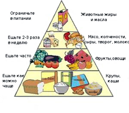 питание при повышенном холестерине