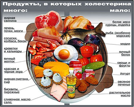 продукты снижающие и повышающие холестерин