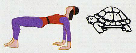 упражнение «Черепаха»