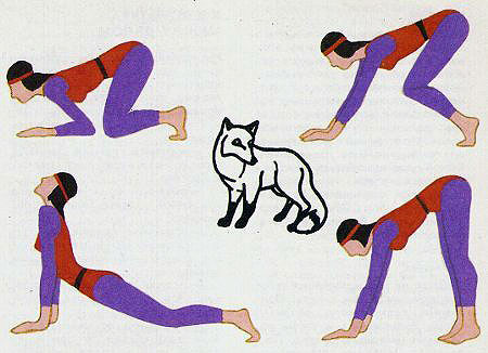 упражнение «Лисица»