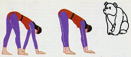 упражнение «Медведь»