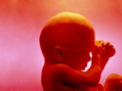 22 неделя беременности 22 неделя беременности