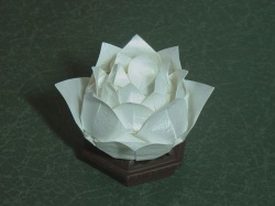 Красивый лотос из бумаги своими руками Красивый лотос из бумаги своими руками