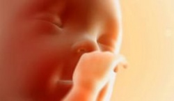 37 неделя беременности 37 неделя беременности