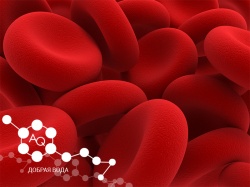 Кровь - кислая или щелочная Кровь - кислая или щелочная