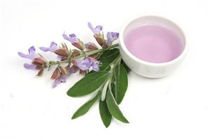 Шалфей при беременности. Можно ли шалфей беременной? Шалфей при беременности. Можно ли шалфей беременной?