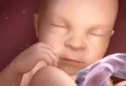 14 неделя беременности 14 неделя беременности