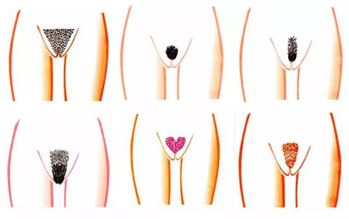 прически дома Женские интимные стрижки дома