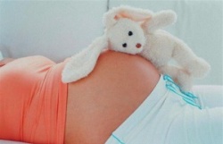 Второй триместр беременности Второй триместр беременности