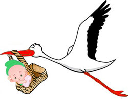 Признаки беременности Признаки беременности