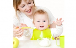 С чего начинать введение прикорма С чего начинать введение прикорма