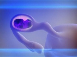 Признаки беременности после ЭКО Признаки беременности после ЭКО