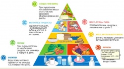 Рацион правильного питания Рацион правильного питания