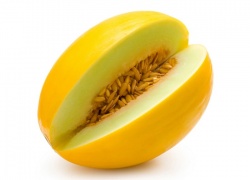 Дыня во время беременности Дыня во время беременности