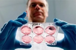 Лечение бесплодия в Украине Лечение бесплодия в Украине