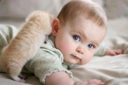 Ребенок и кот в доме, кот в доме и ребенок Ребенок и кот в доме, кот в доме и ребенок