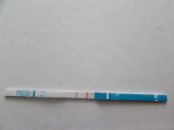 Месячные после положительного теста на беременность Месячные после положительного теста на беременность