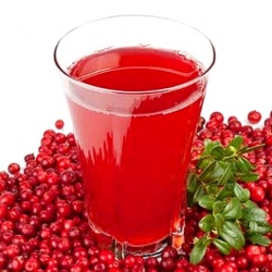 Клюквенный морс при беременности Клюквенный морс при беременности