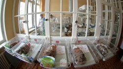 Роды в роддоме Роды в роддоме