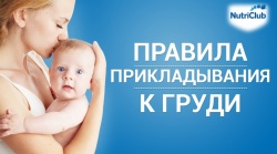 Как правильно прикладывать ребенка к груди Как правильно прикладывать ребенка к груди