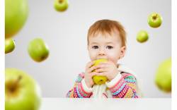 Железодефицитная анемия у детей раннего возраста Железодефицитная анемия у детей раннего возраста