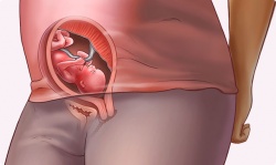 19 неделя беременности 19 неделя беременности