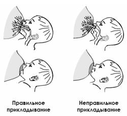 Как правильно кормить ребенка грудью? Как правильно кормить ребенка грудью?