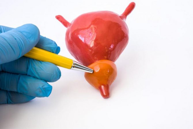 амоксиклав инструкция по применению цена отзывы