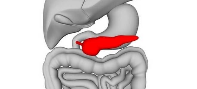 Анатомия и патологии хвоста поджелудочной железы