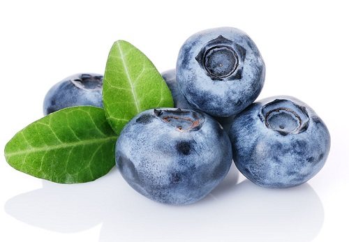 Черника при гастрите