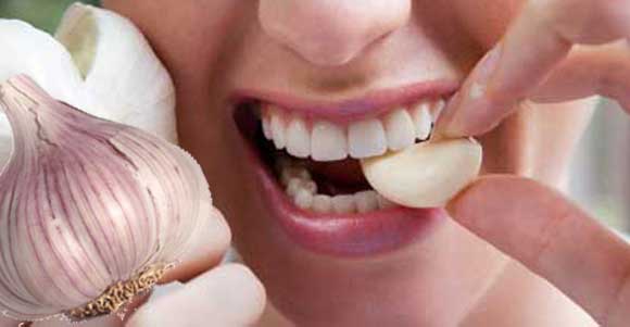 Чеснок вред и польза