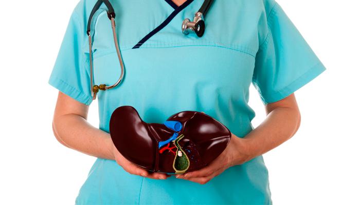 Доктор и печень