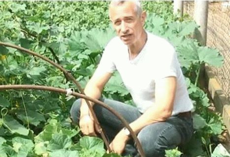 Как лечить геморрой огурцом? - видео от доктора Попова