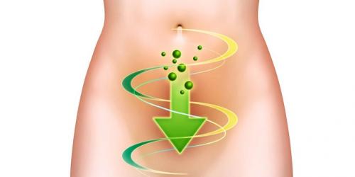 Как очистить организм в домашних условиях. Программа очищения организма в домашних условиях