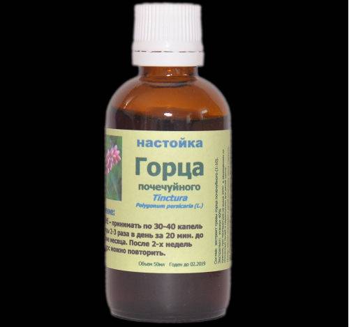 Как применяют почечуйный горец при геморрое