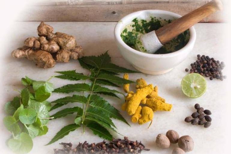 Лечение рака желудка 4 стадии с метастазами народными средствами