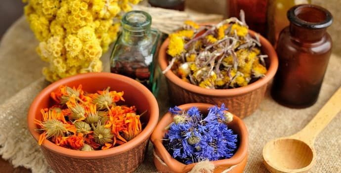 Лечение язвенного колита народными средствами – самые эффективные