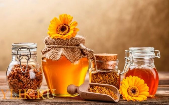 Лечение желудка прополисом