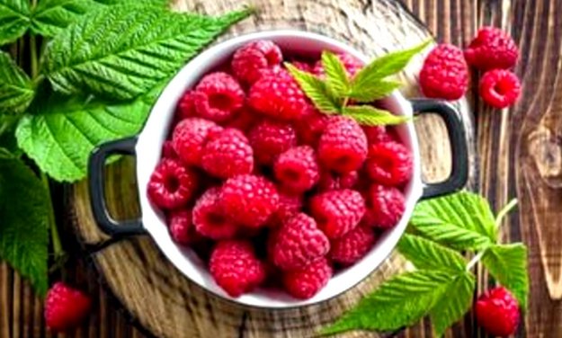 малина в тарелке