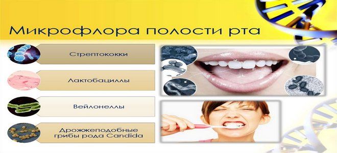 микрофлора во рту