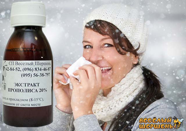 настойка прополиса