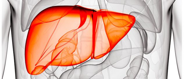 Необходимость соблюдения