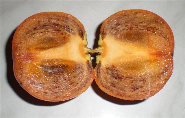 Непереваренные остатки пищи