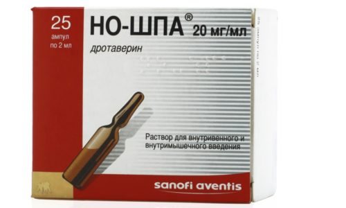 Обезболивающие капельницы ставятся с такими лекарственными средствами как Но-шпа