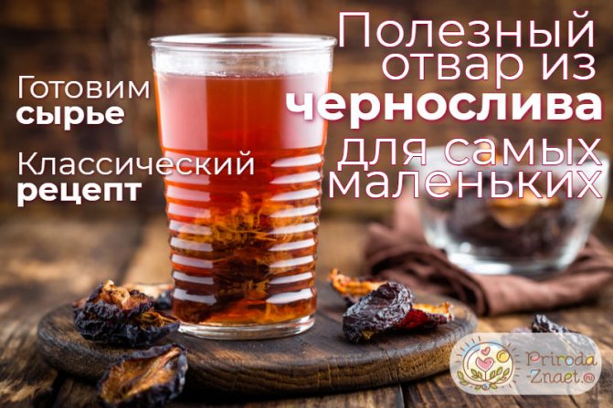 Отвар чернослива для грудничка