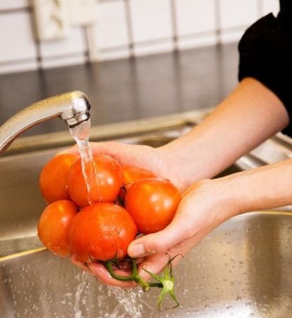 Печеночный сосальщик цикл развития профилактика симптомы