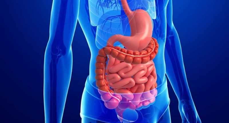 Перфорация стенок желудка