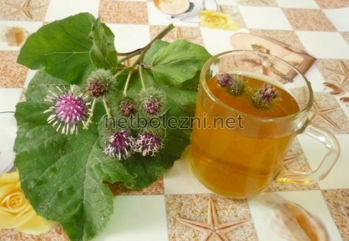 Полезный отвар лопуха