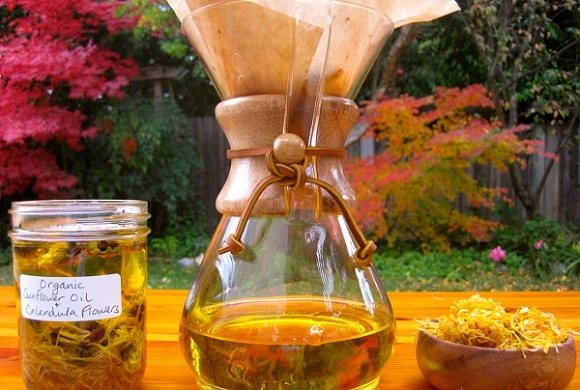 Применение календулы при лечении гастрита